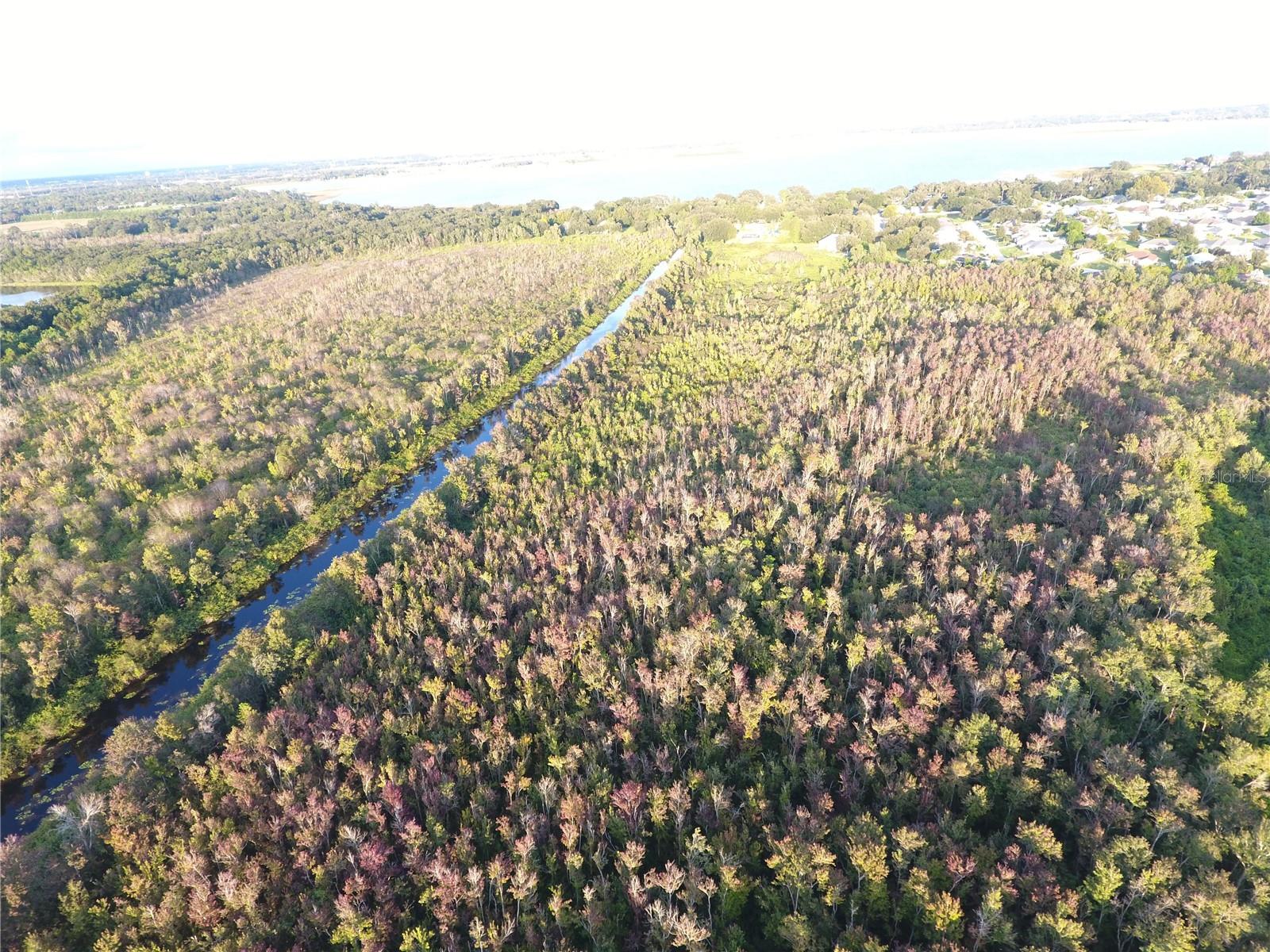 Image 15 of 20 For Hickory Lane W