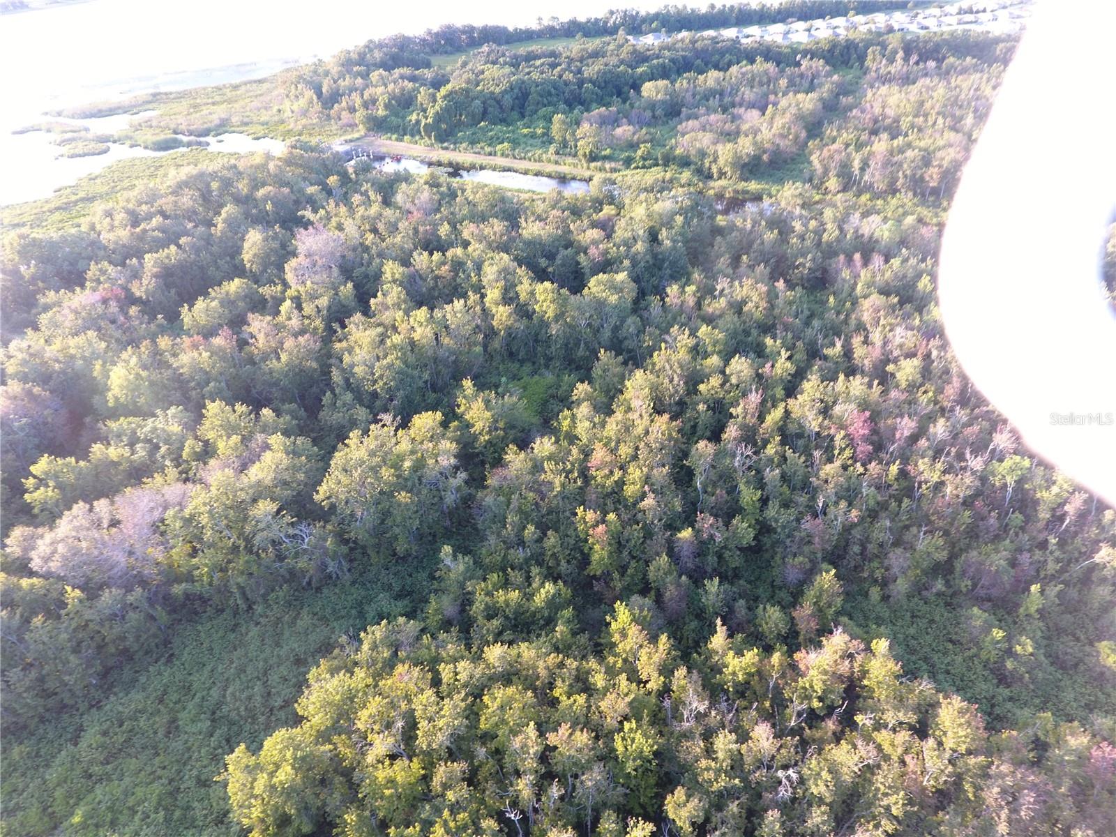 Image 20 of 20 For Hickory Lane W