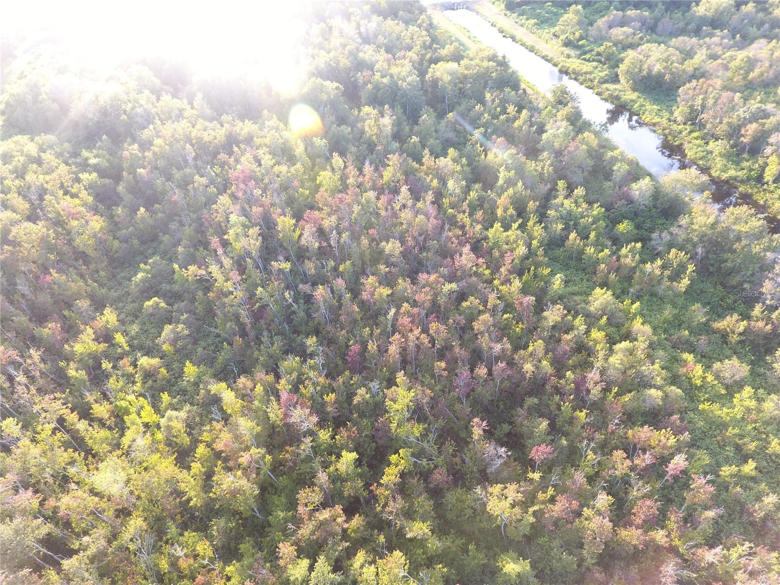 Image 8 of 20 For Hickory Lane W