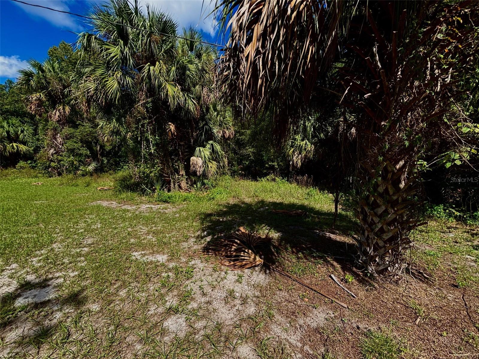 Image 10 of 50 For 404 Grove Street