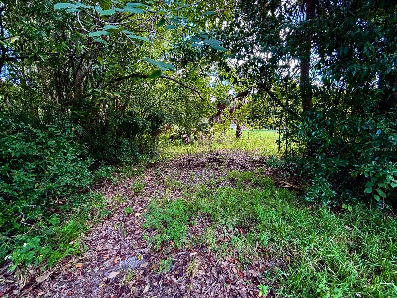 Image 12 of 50 For 404 Grove Street