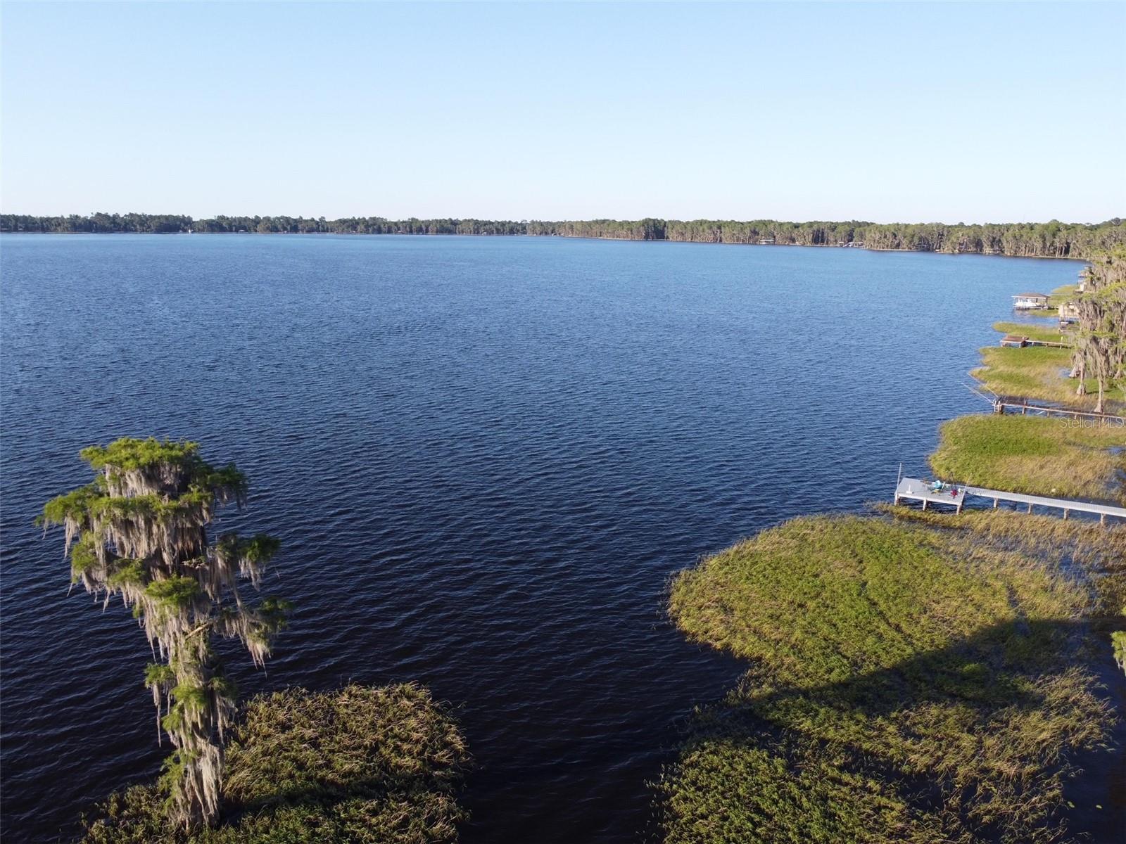 Image 45 of 50 For 404 Grove Street