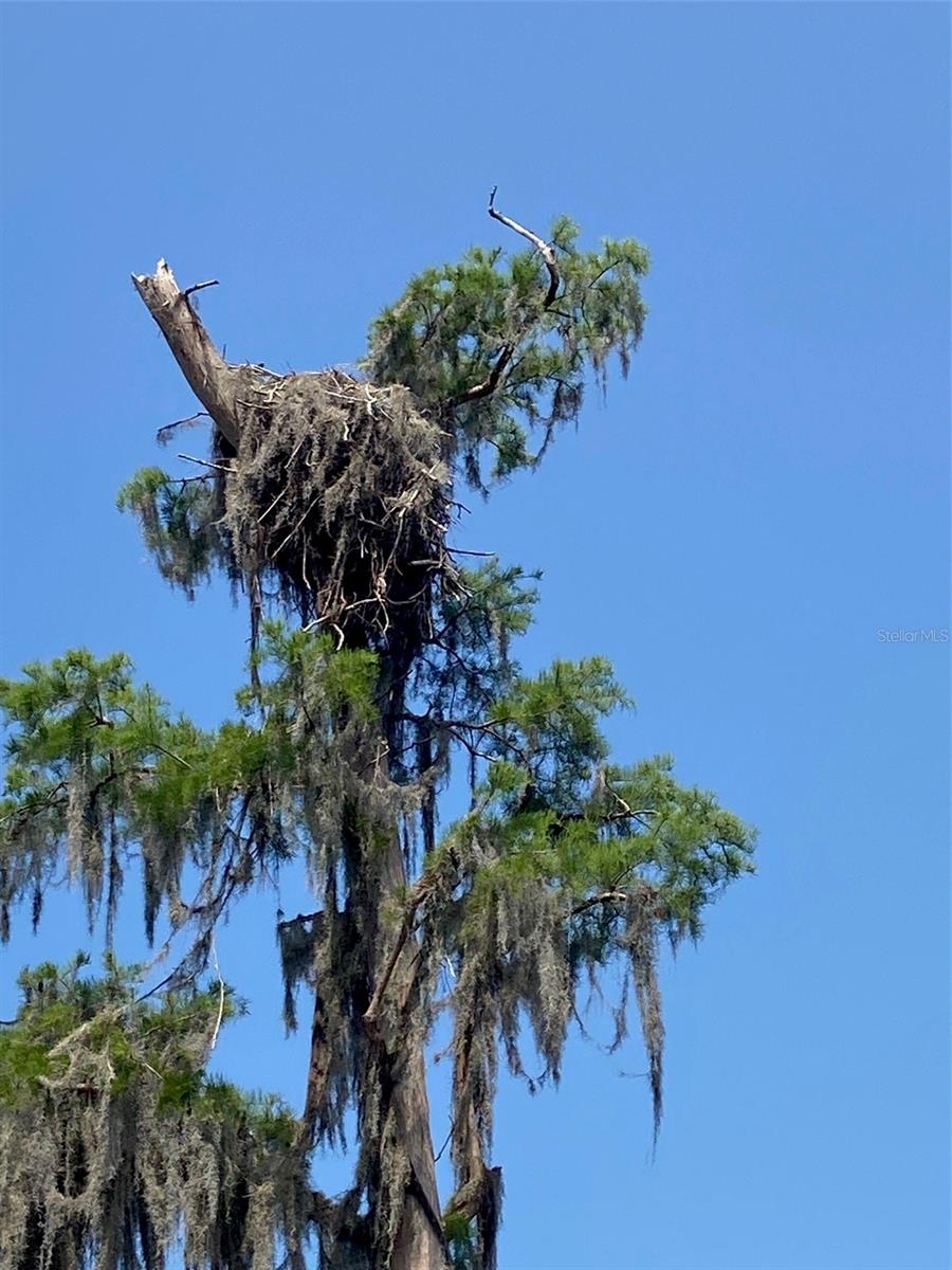 Image 48 of 50 For 404 Grove Street