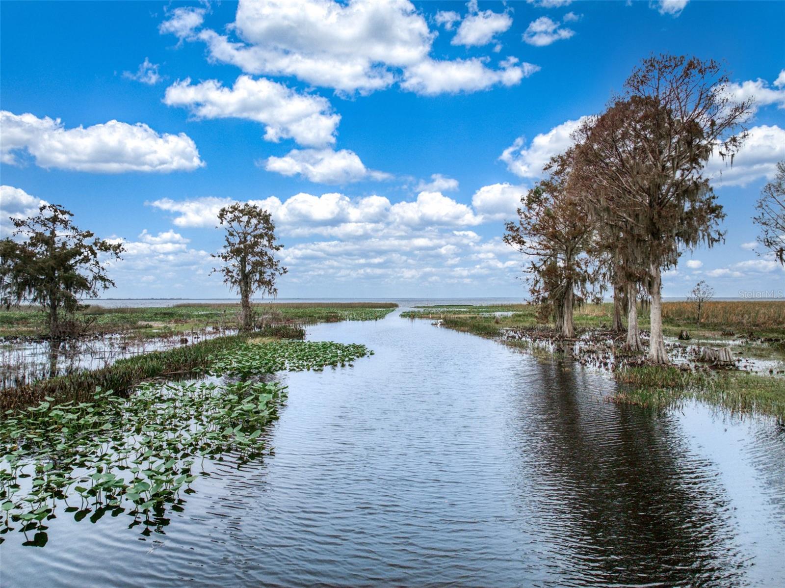 Image 7 of 32 For 612 Dragonfly Lane