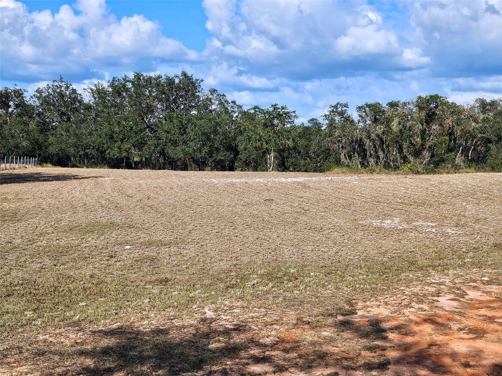 Image 20 of 29 For 643 Fazzini Road