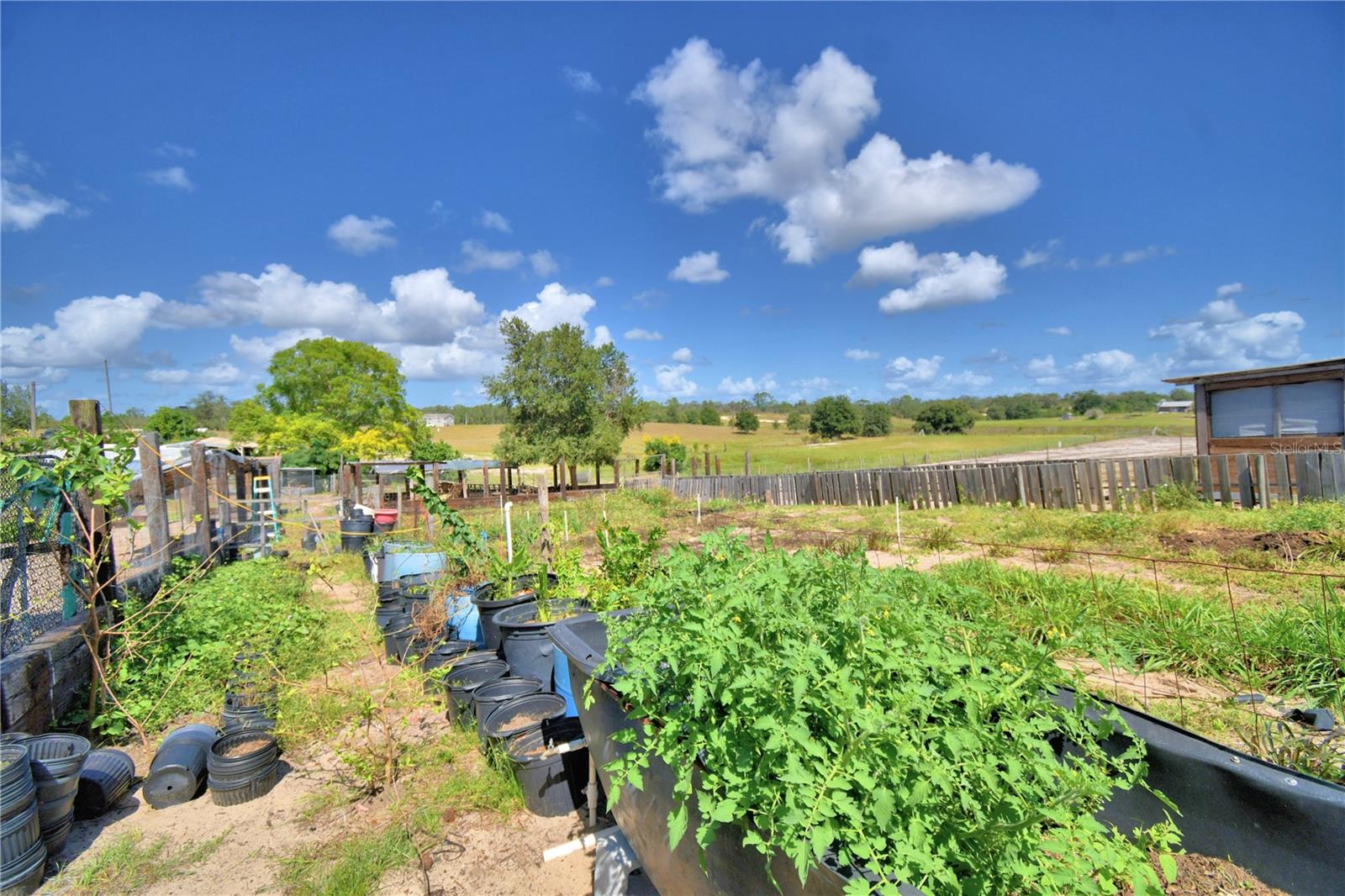 Image 72 of 100 For 715 Fazzini Road
