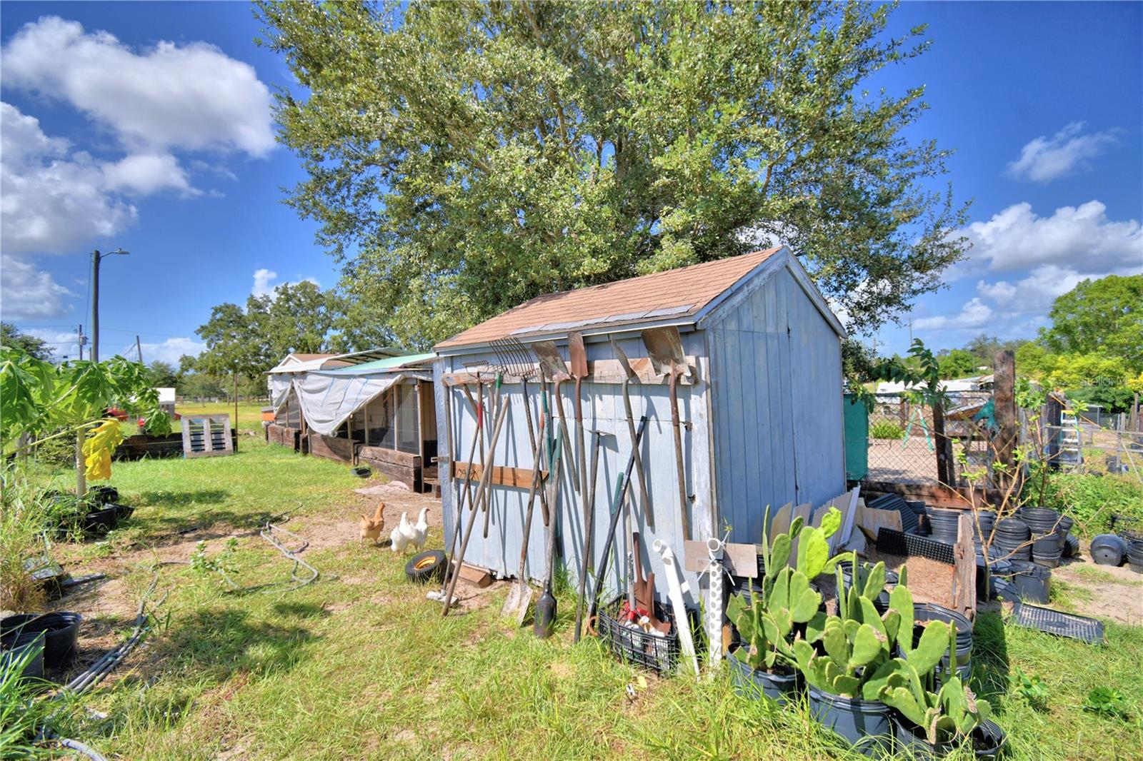 Image 73 of 100 For 715 Fazzini Road