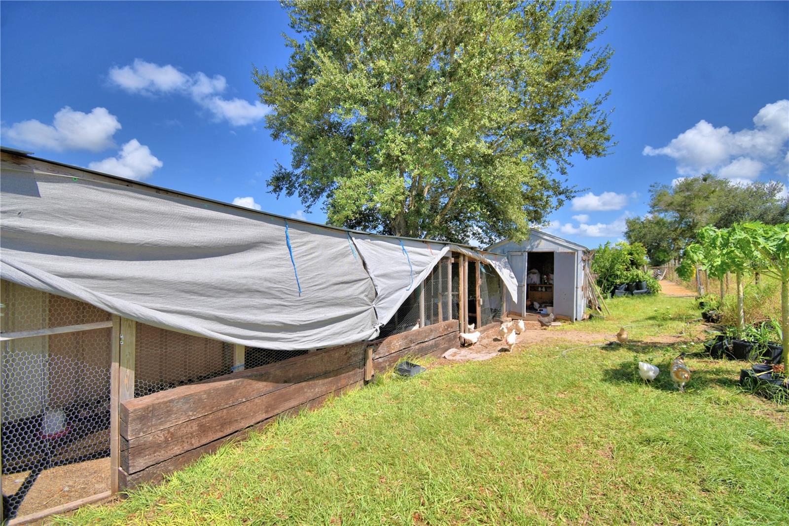 Image 96 of 100 For 715 Fazzini Road