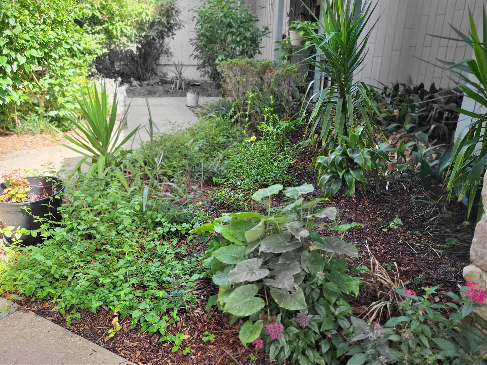 Image 2 of 16 For 3377 Camelot Drive 3377
