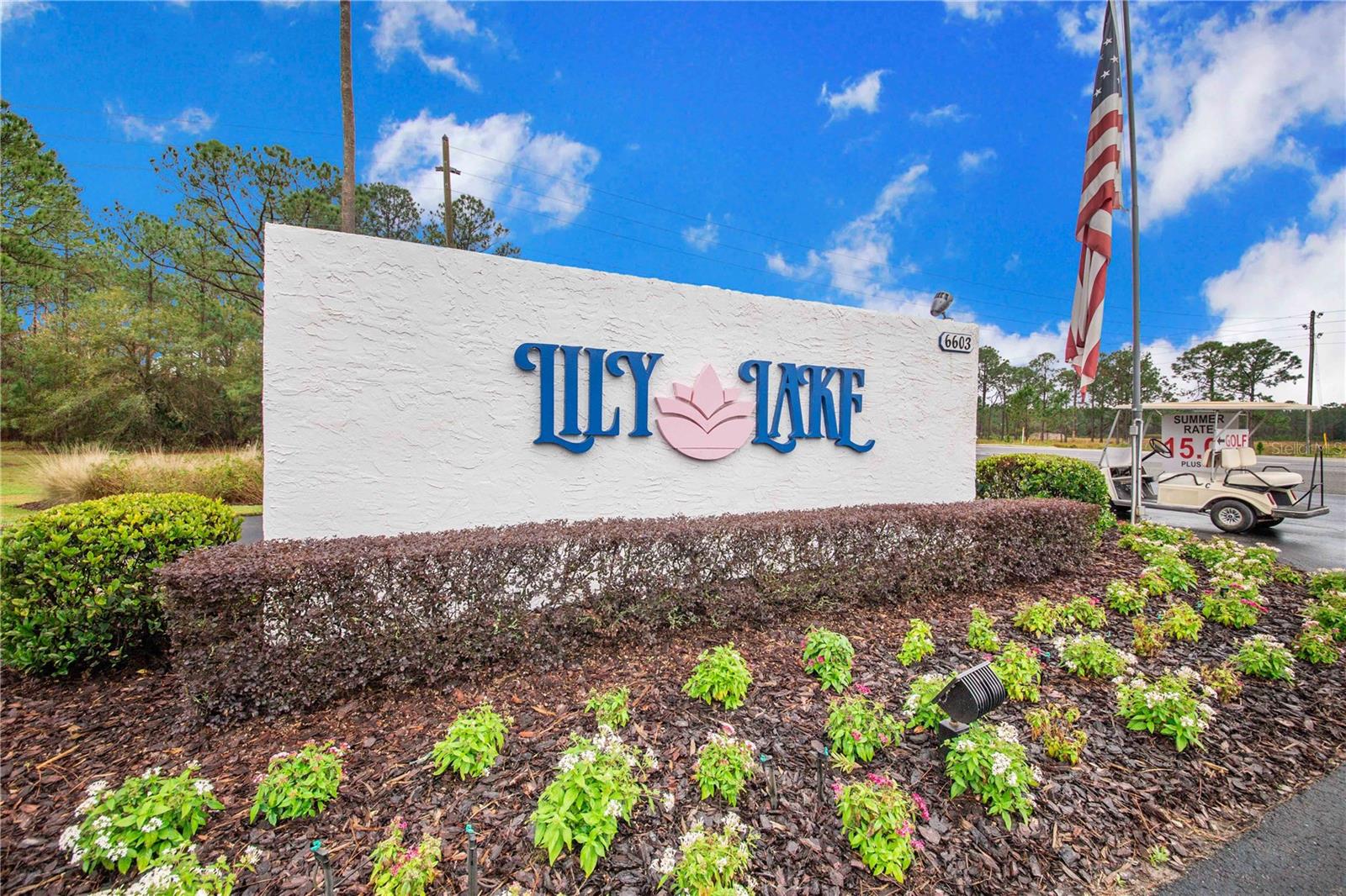 Image 21 of 31 For 359 Pine Loop