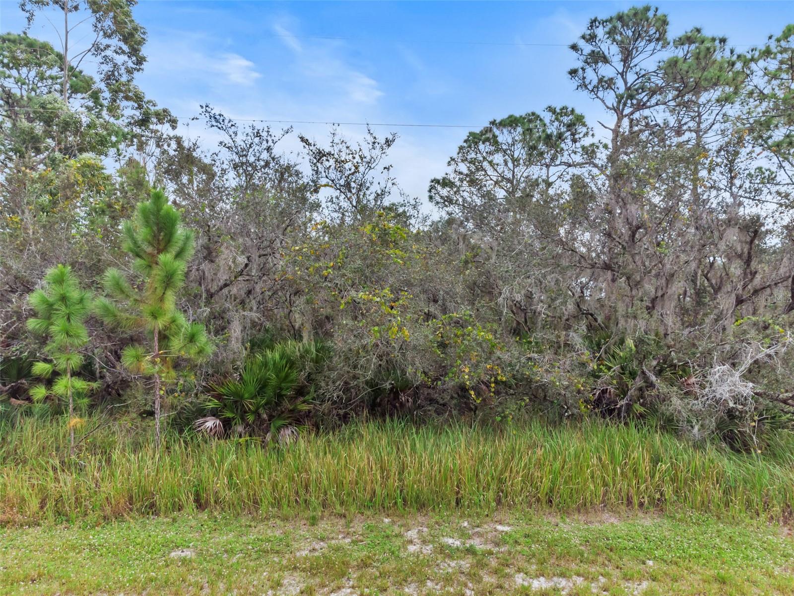 Image 3 of 13 For 545 Washington Place