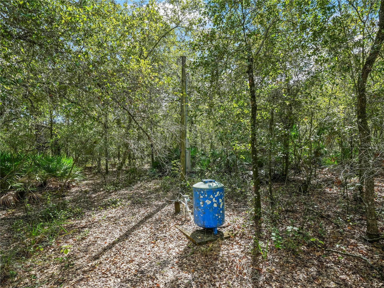 Image 10 of 28 For 2415 Live Oak Trail
