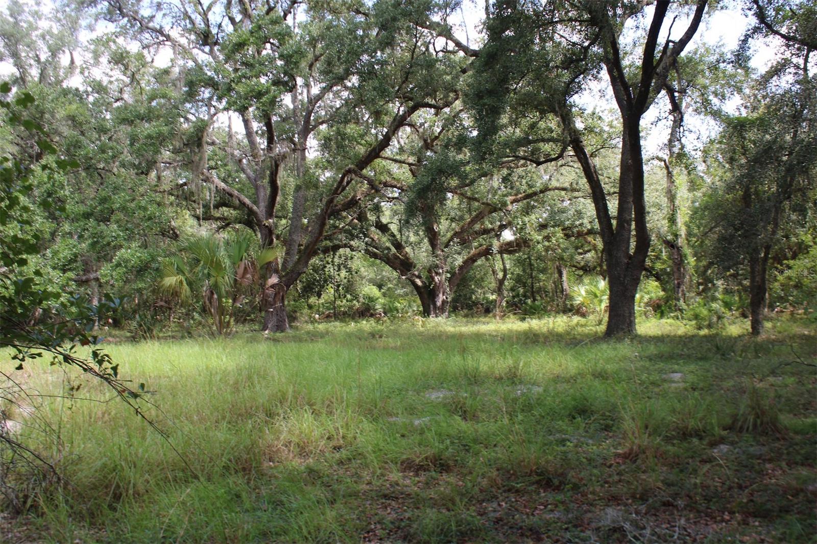 Image 14 of 28 For 2415 Live Oak Trail