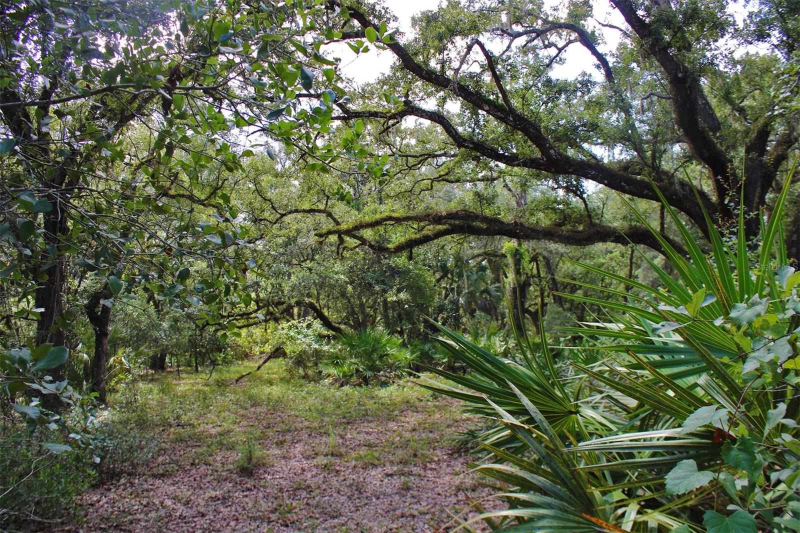 Image 15 of 28 For 2415 Live Oak Trail