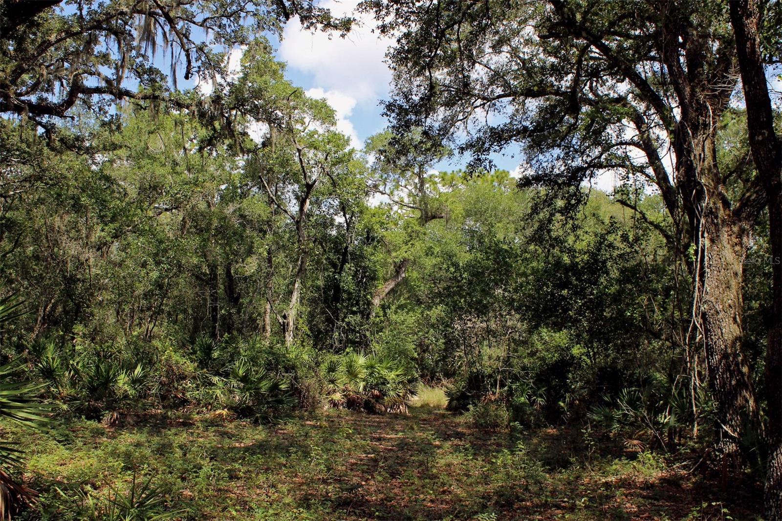 Image 19 of 28 For 2415 Live Oak Trail
