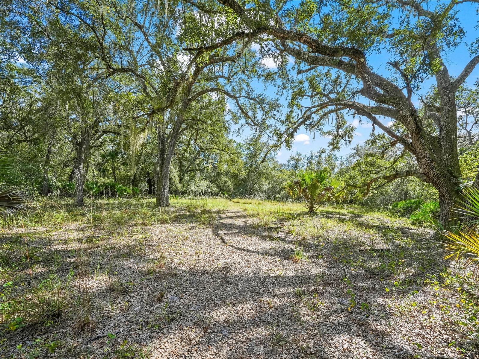 Image 8 of 28 For 2415 Live Oak Trail