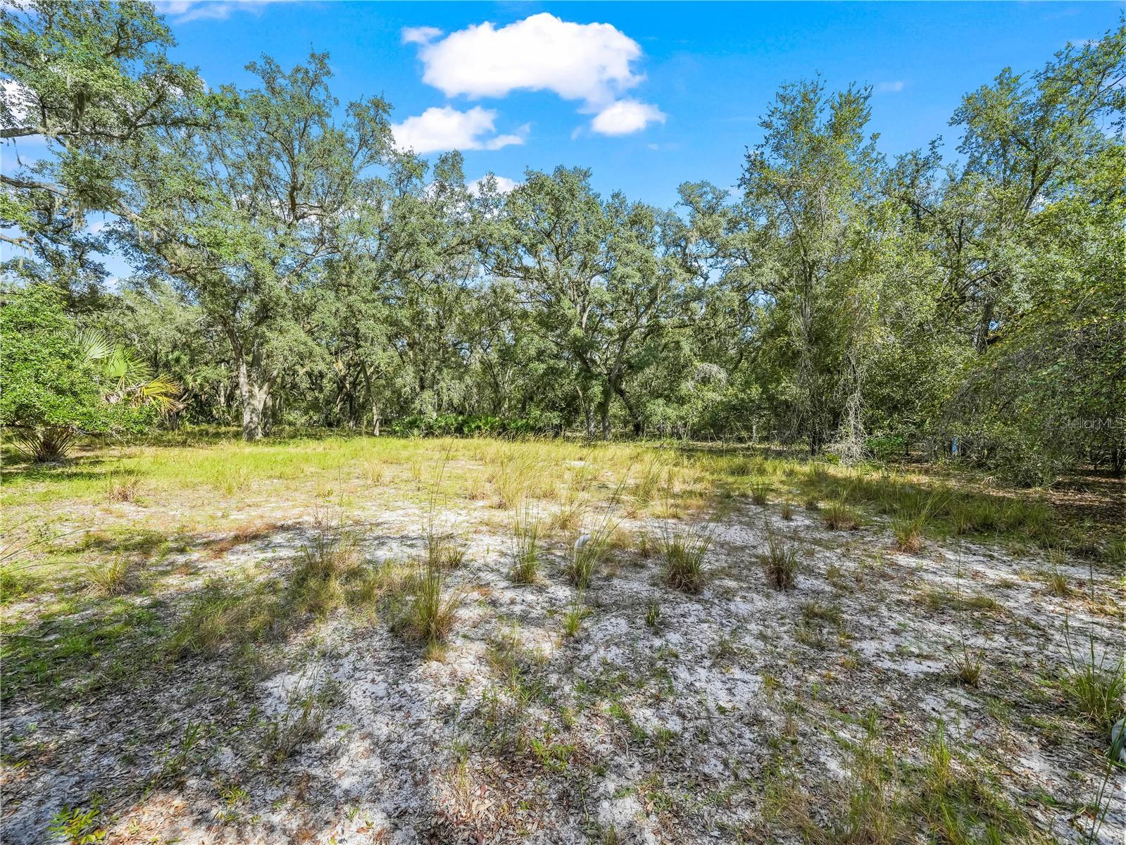 Image 9 of 28 For 2415 Live Oak Trail