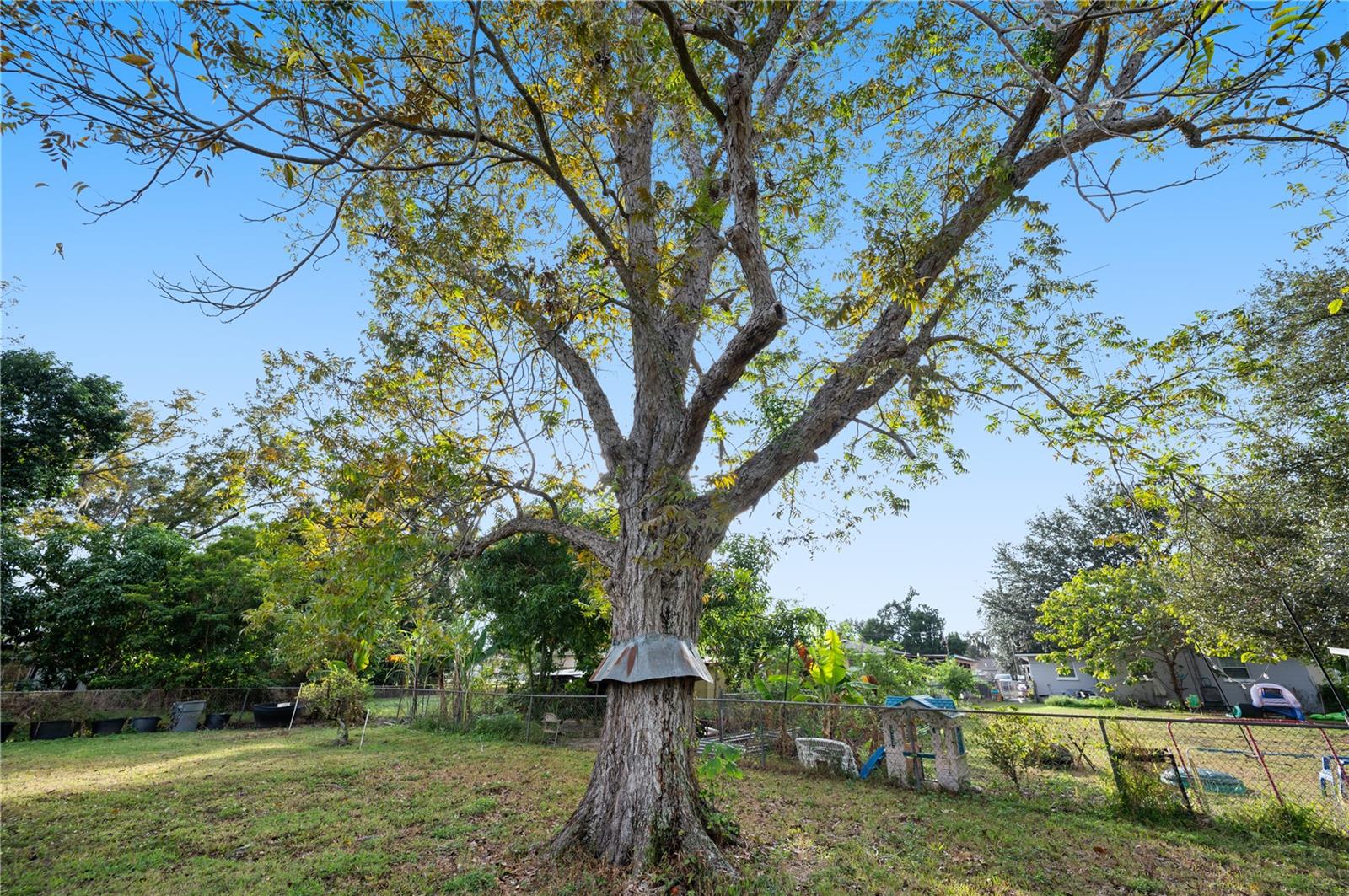 Image 52 of 53 For 1331 33rd Street Nw