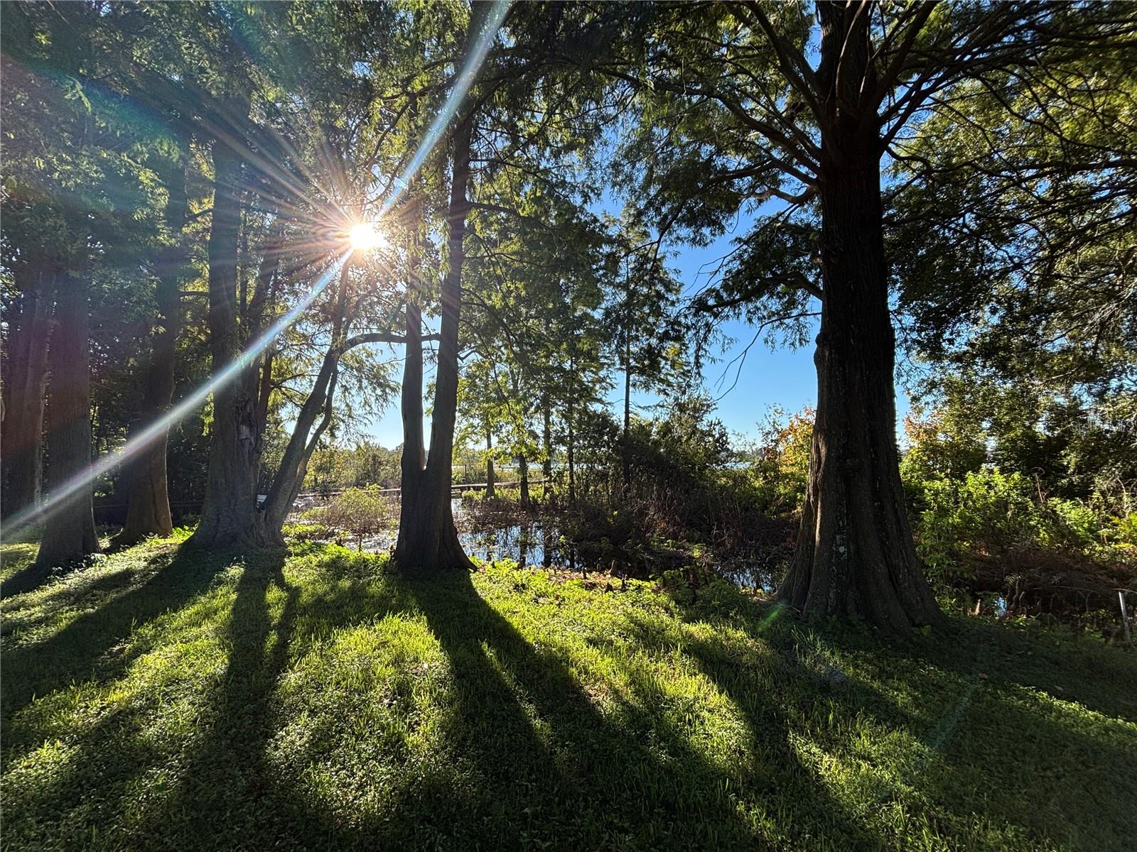 Image 37 of 51 For 3334 Fox Ridge Drive