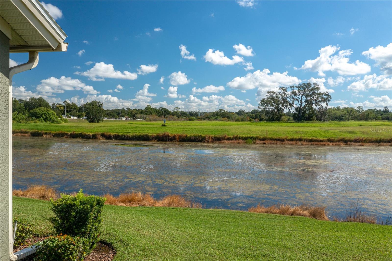 Image 39 of 47 For 2928 Mission Lakes Drive 41