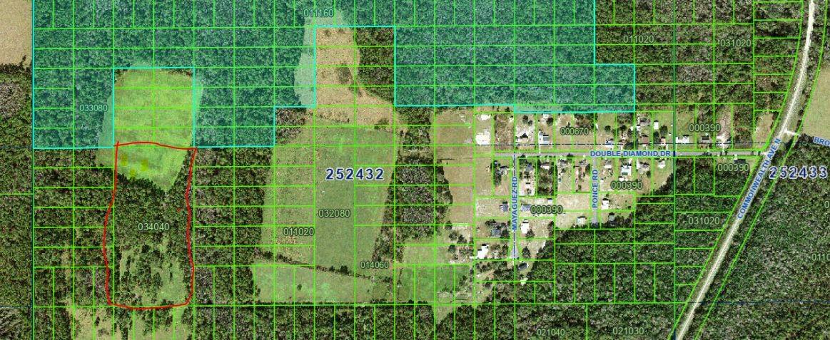 Details for Double Diamond Drive, POLK CITY, FL 33868