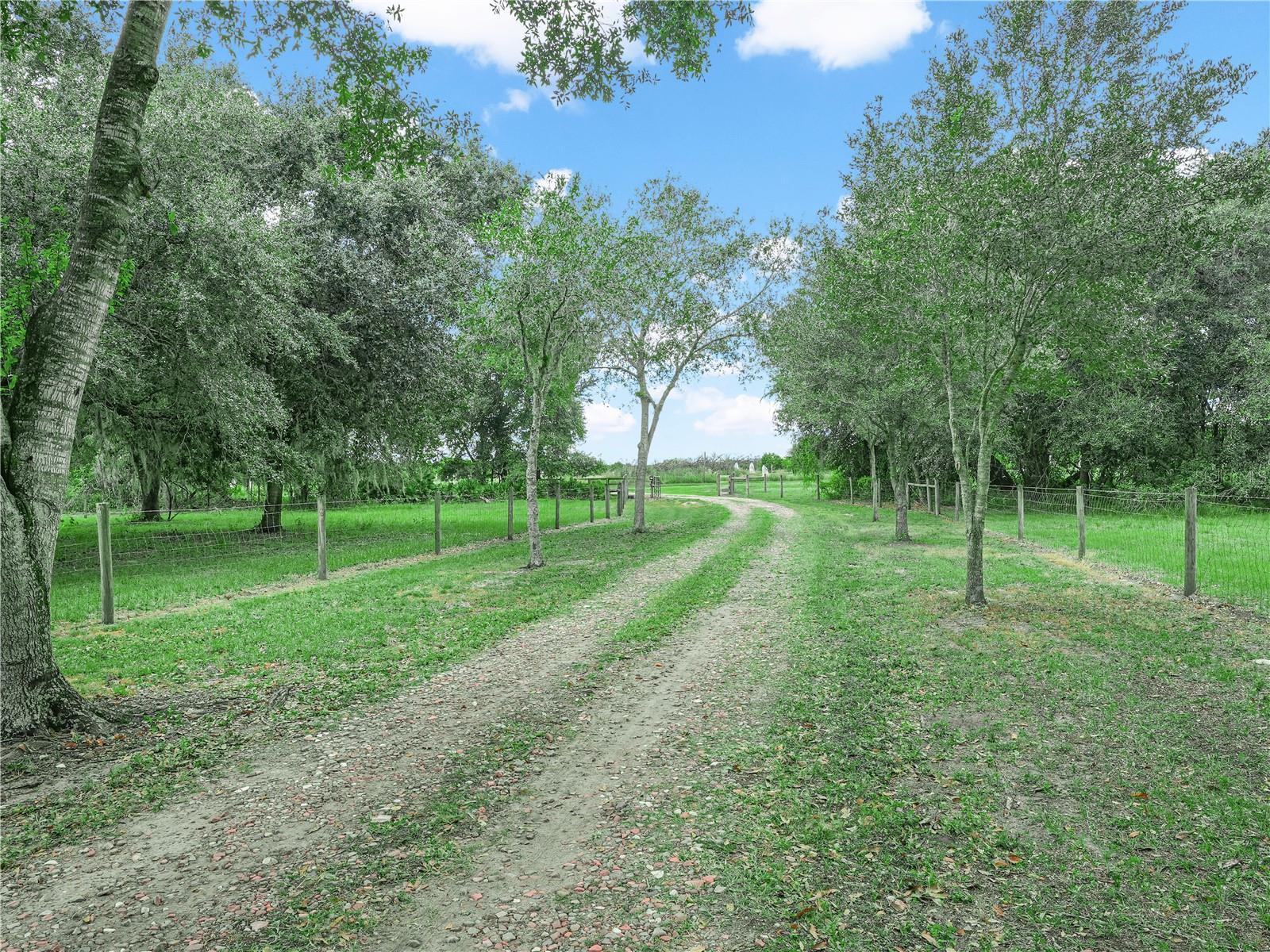 Image 38 of 42 For 3963 Mammoth Grove Road