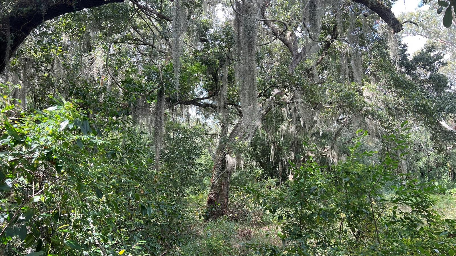 Image 4 of 8 For 0 Rifle Range Rd