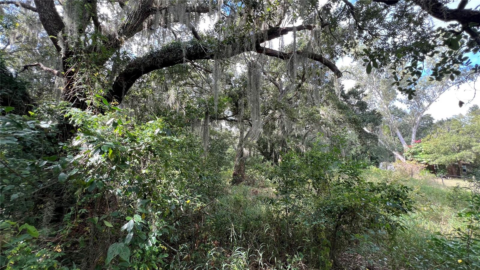 Image 5 of 8 For 0 Rifle Range Rd