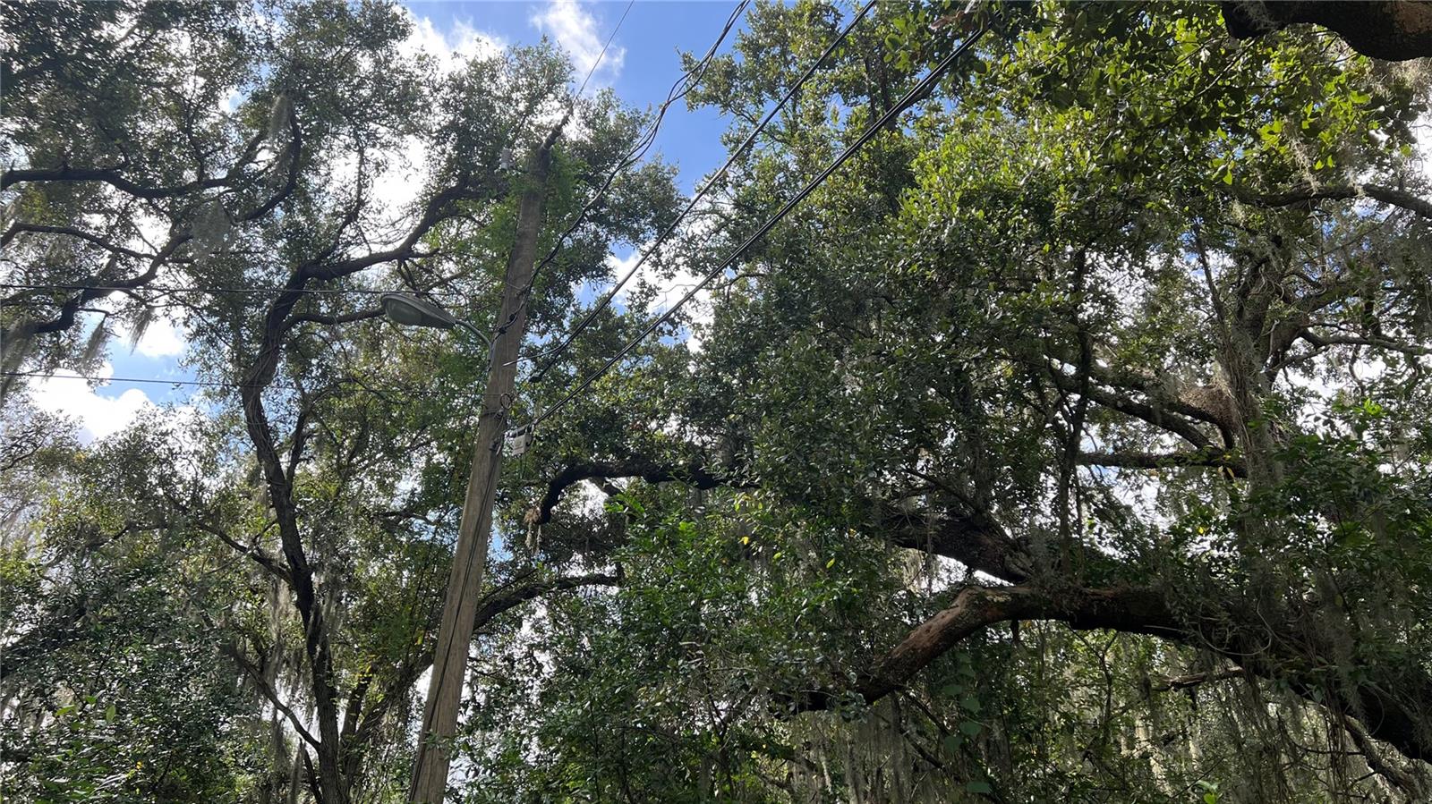 Image 7 of 8 For 0 Rifle Range Rd