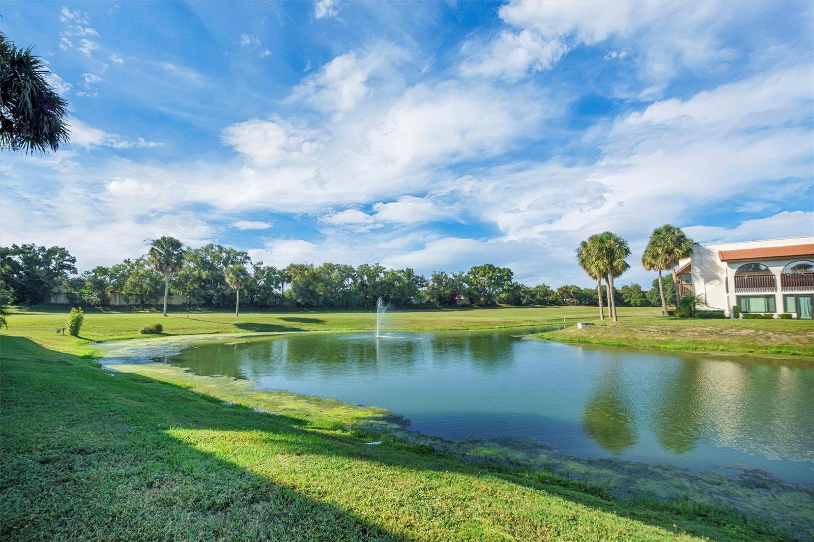 Image 32 of 80 For 10104 Village Drive 4