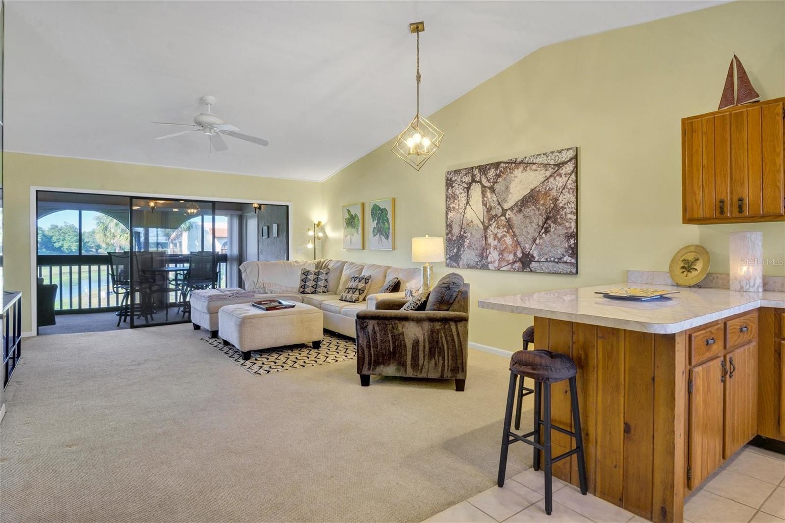 Image 5 of 65 For 10203 Village Drive 23