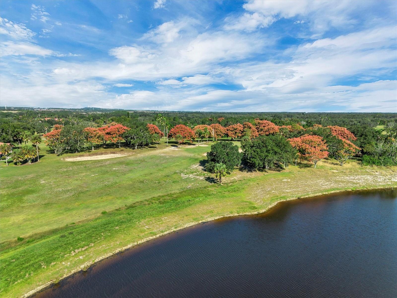 Image 52 of 65 For 10203 Village Drive 23