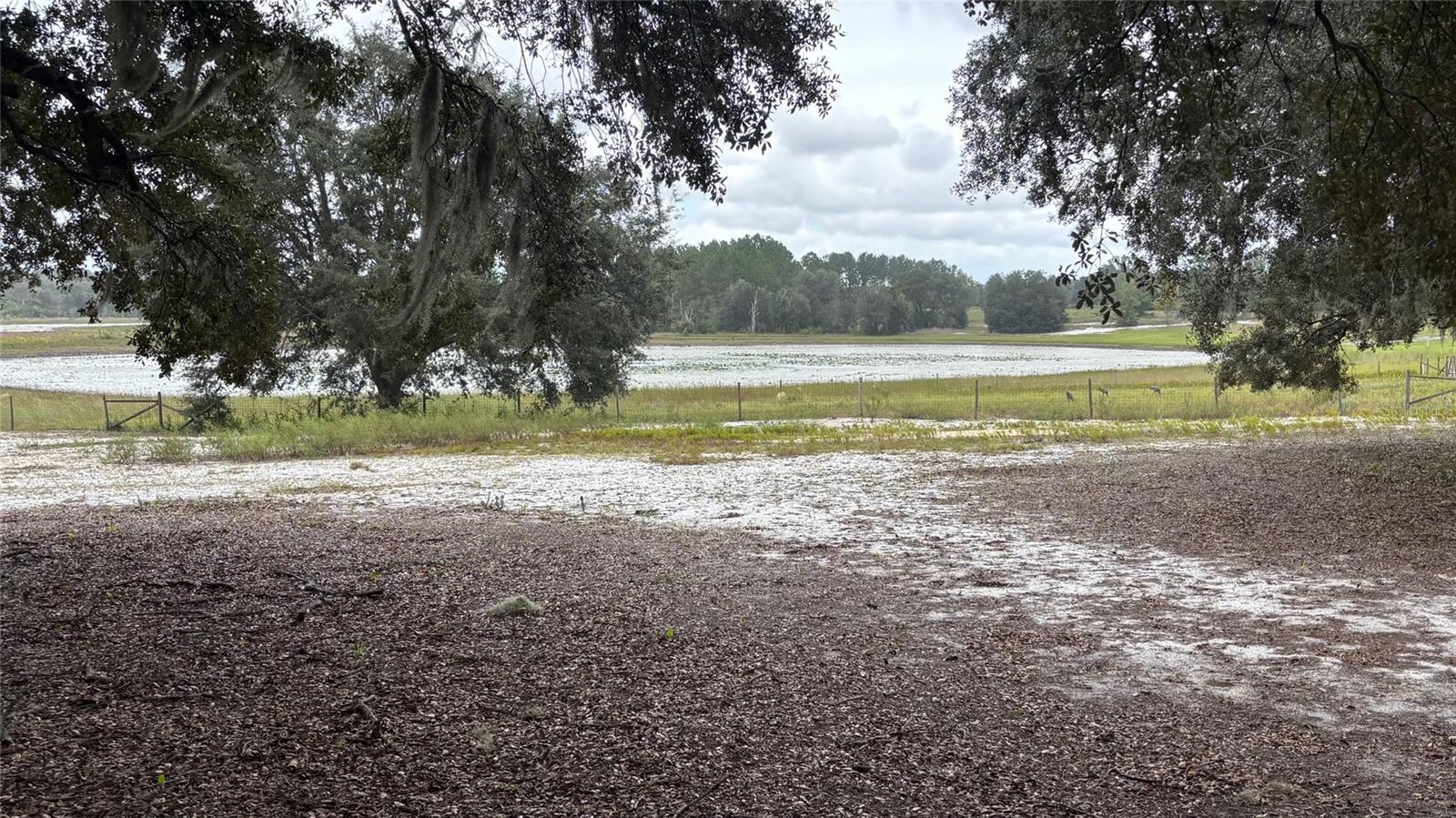 Image 2 of 58 For 8185 Jasmine Avenue