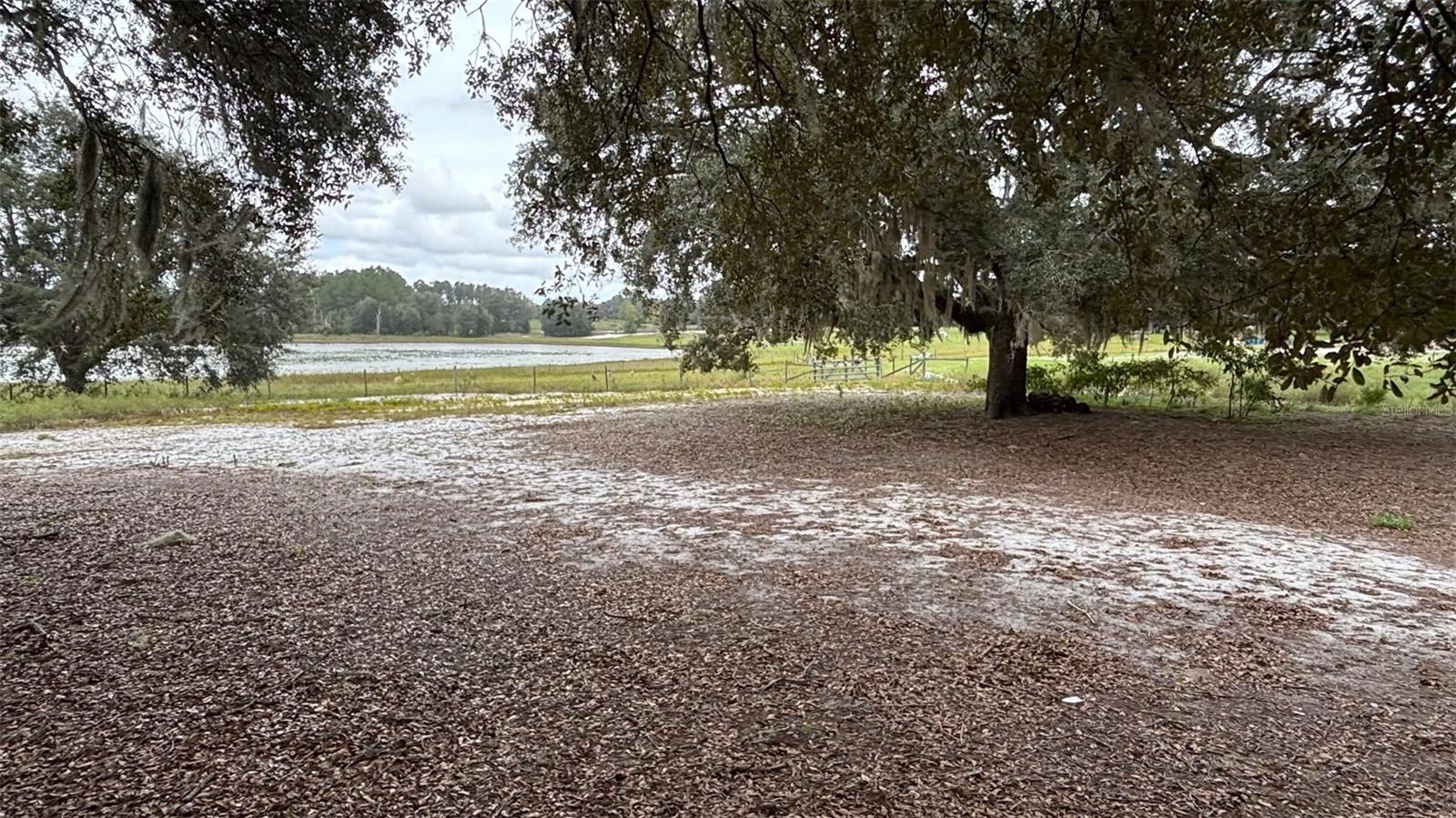 Image 23 of 58 For 8185 Jasmine Avenue