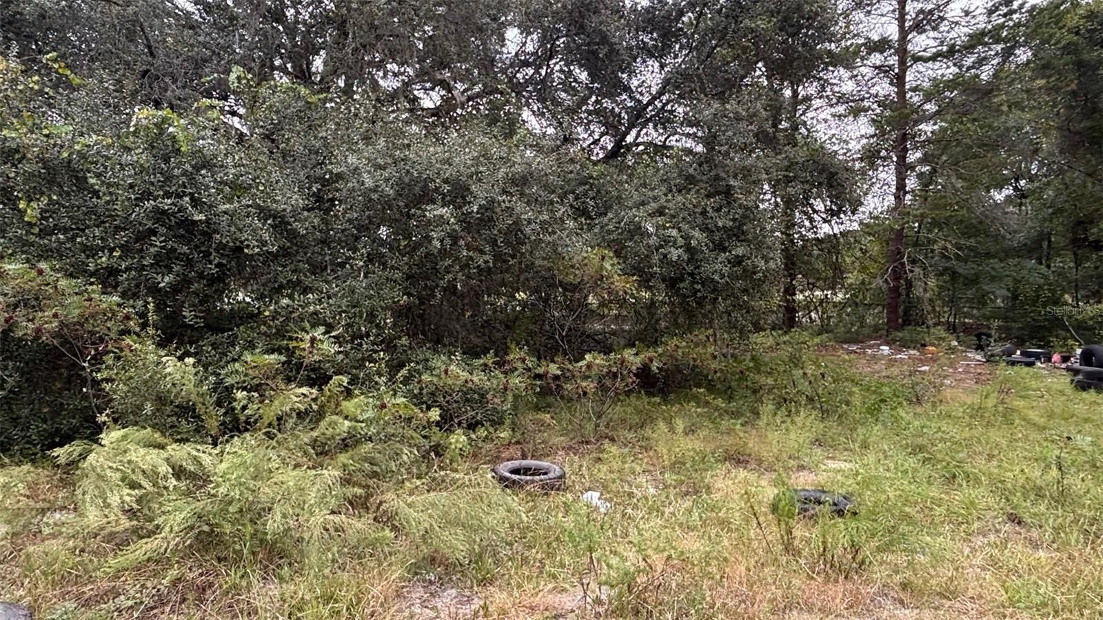 Image 26 of 58 For 8185 Jasmine Avenue