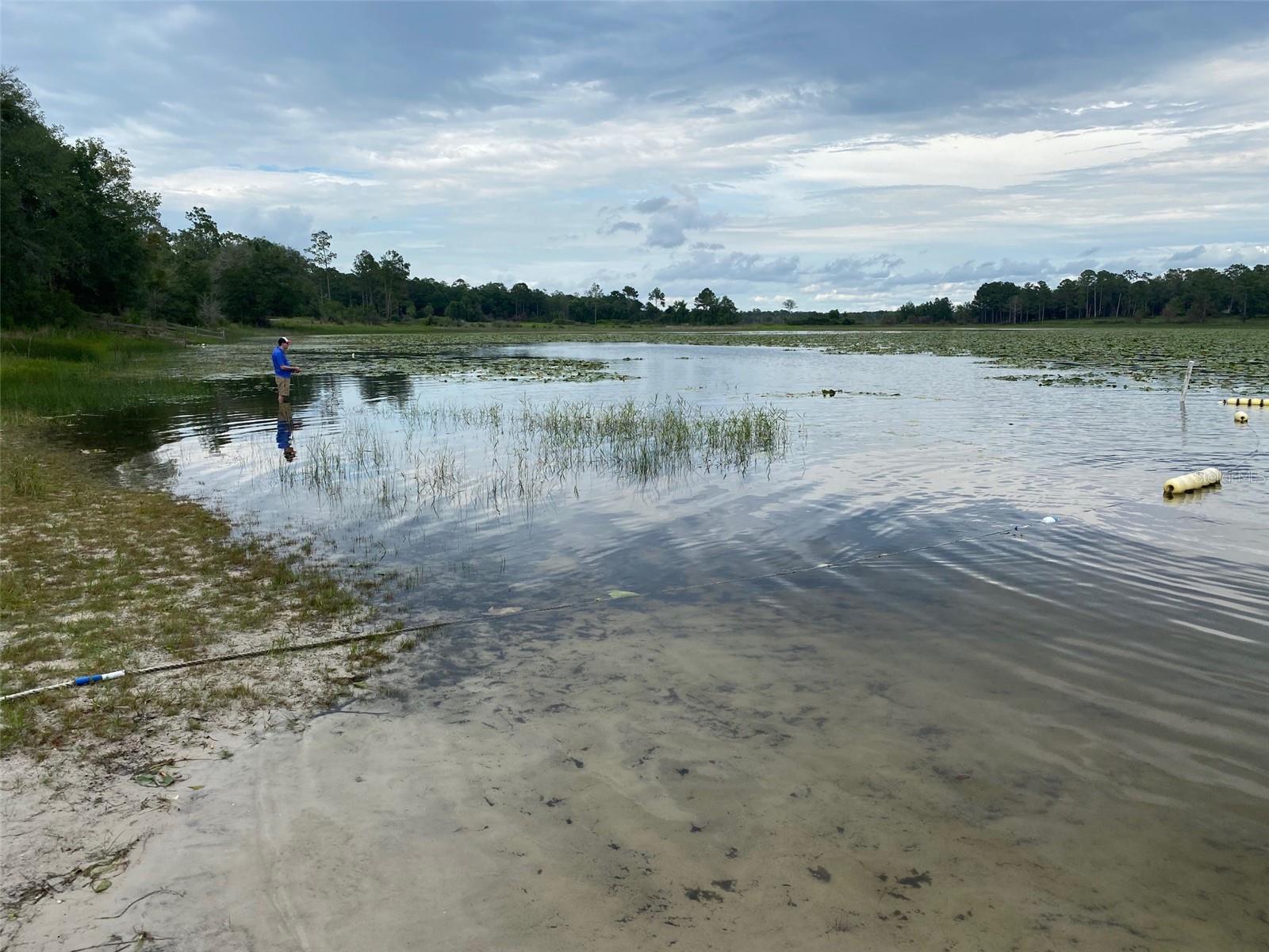 Image 30 of 58 For 8185 Jasmine Avenue