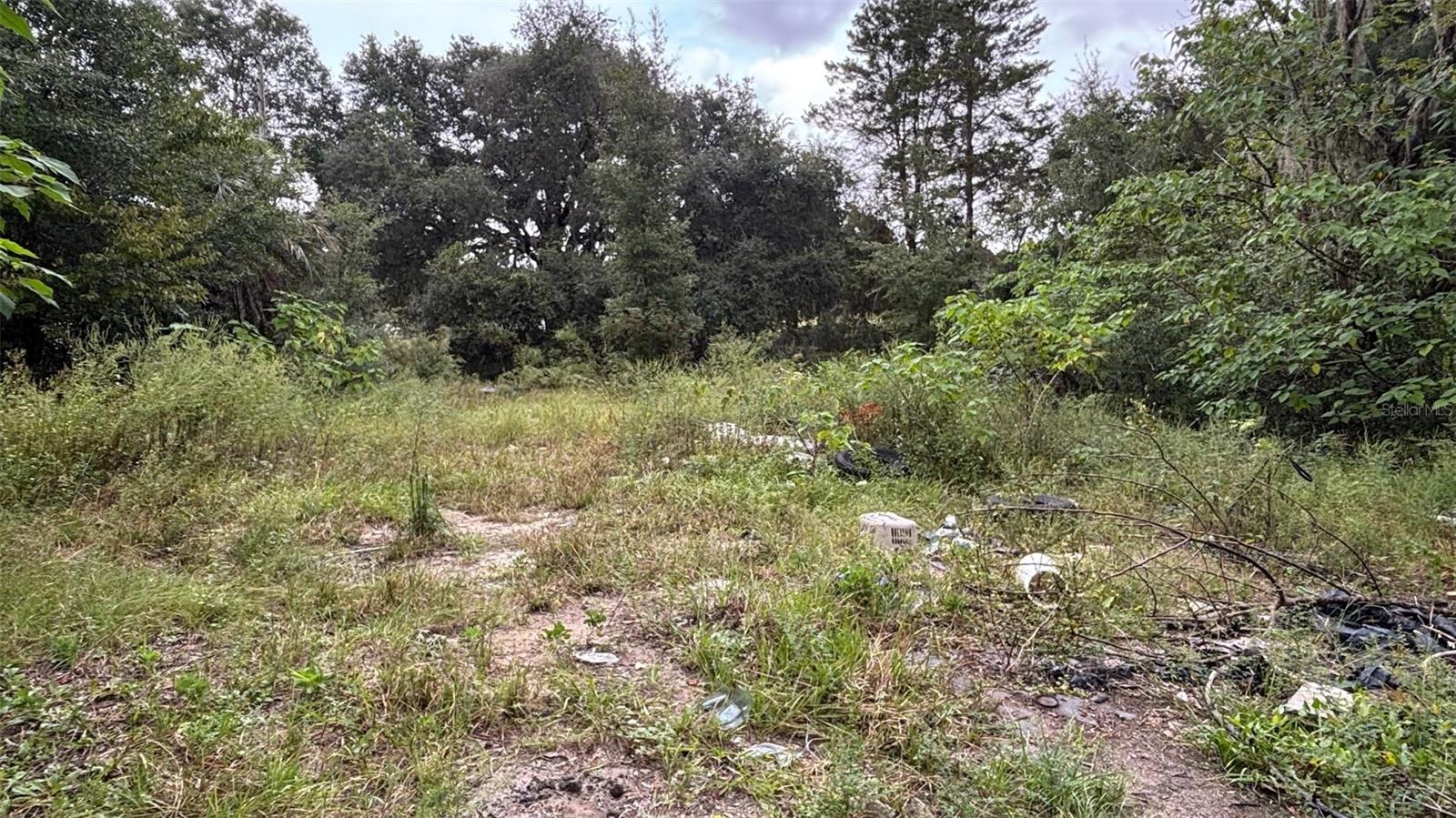 Image 4 of 58 For 8185 Jasmine Avenue