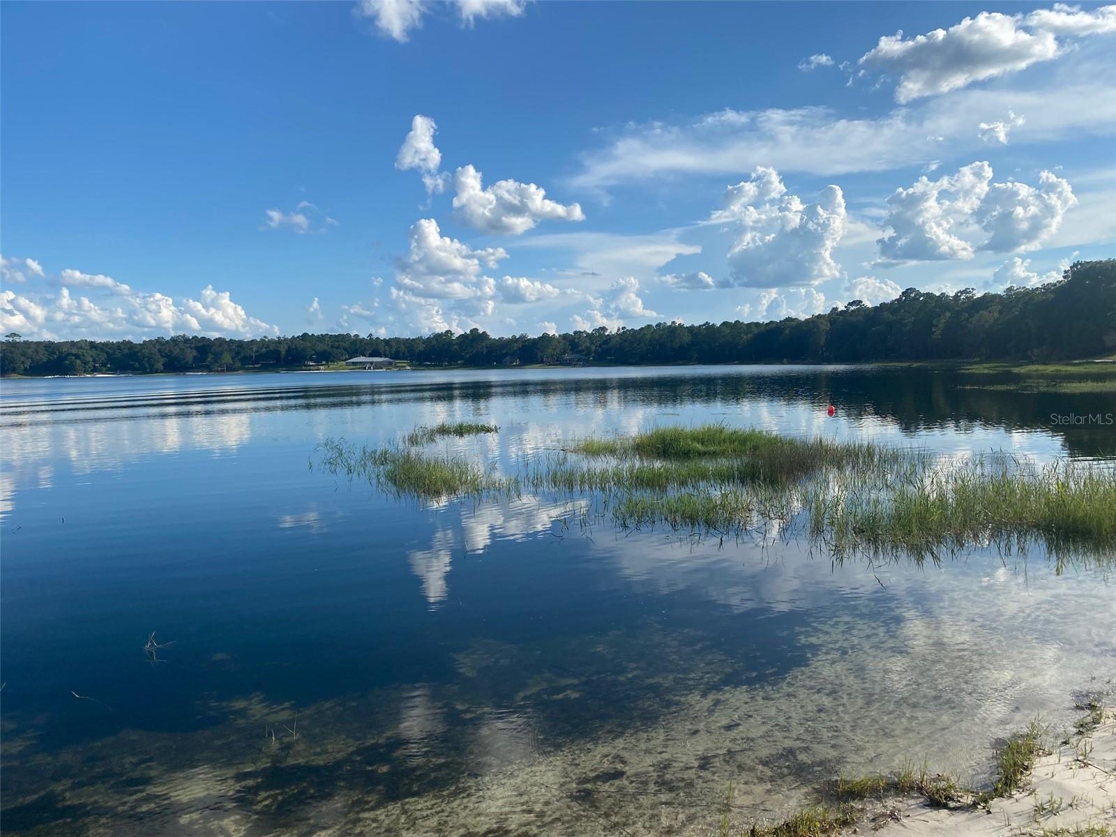 Image 51 of 58 For 8185 Jasmine Avenue