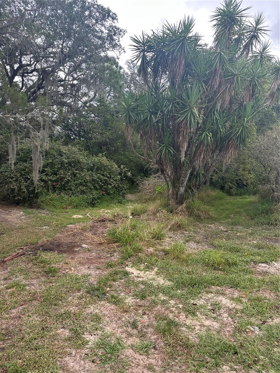 Image 11 of 13 For 4998 Lake Lowery Road