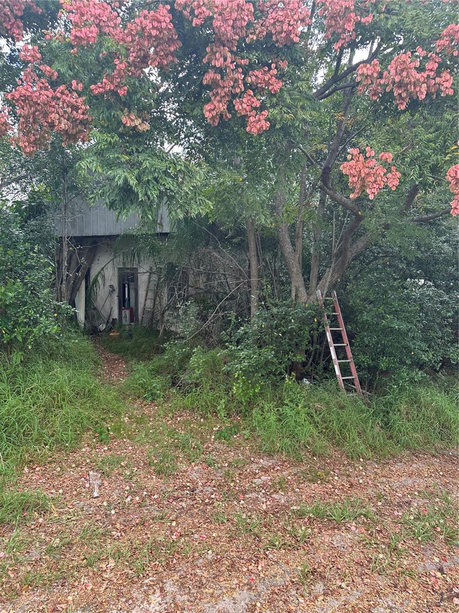 Image 13 of 13 For 4998 Lake Lowery Road