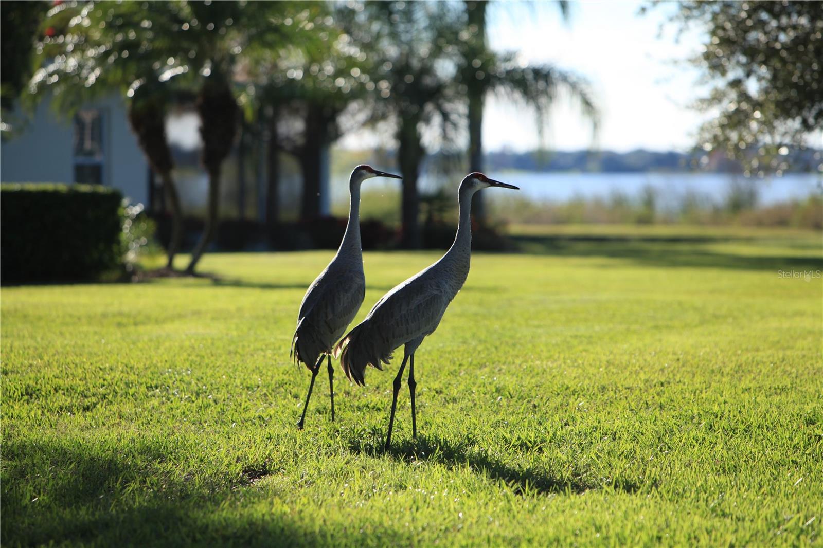 Image 20 of 27 For 714 Magnolia Place 714