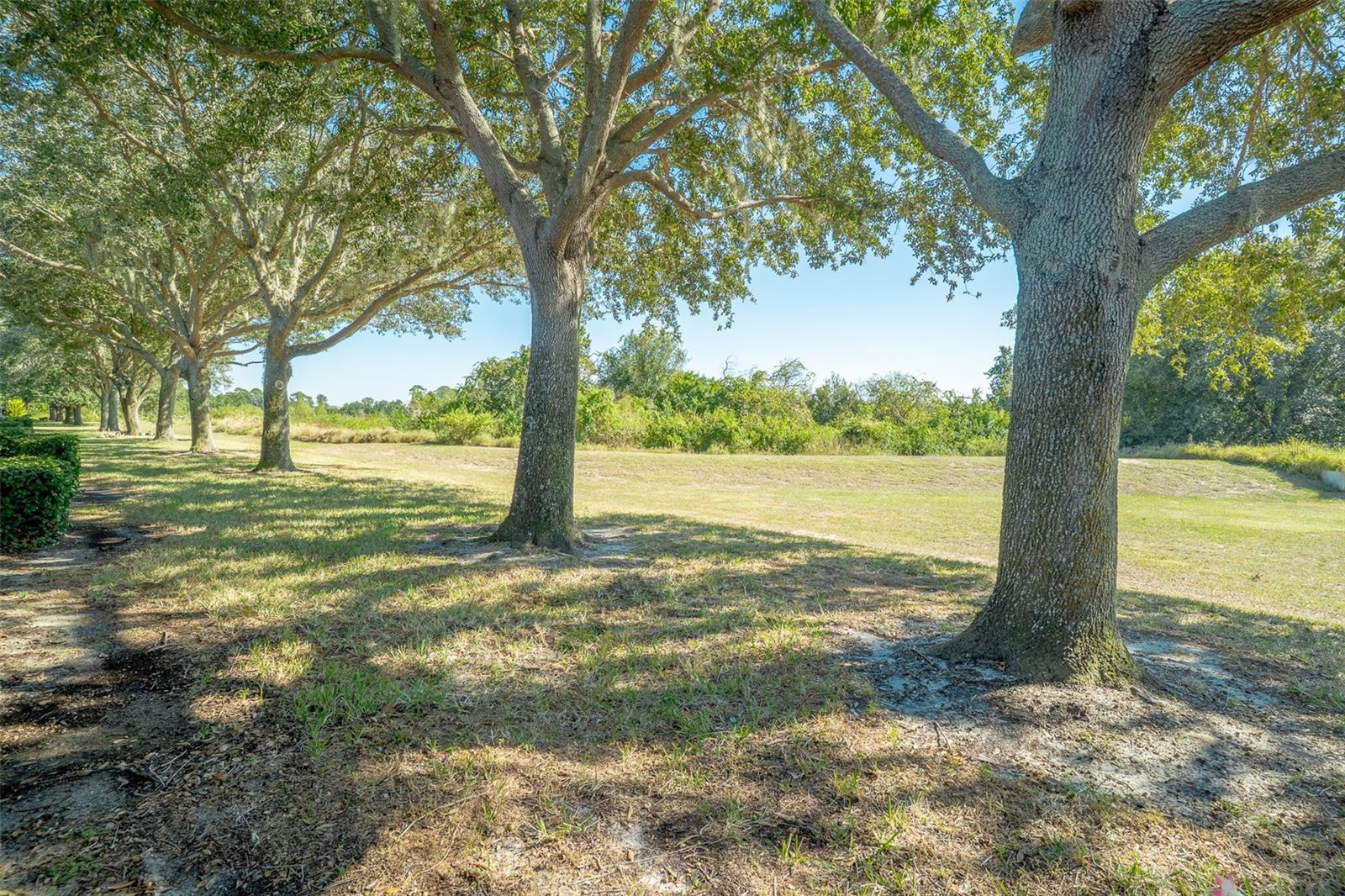 Image 17 of 24 For 2739 Rutledge Court