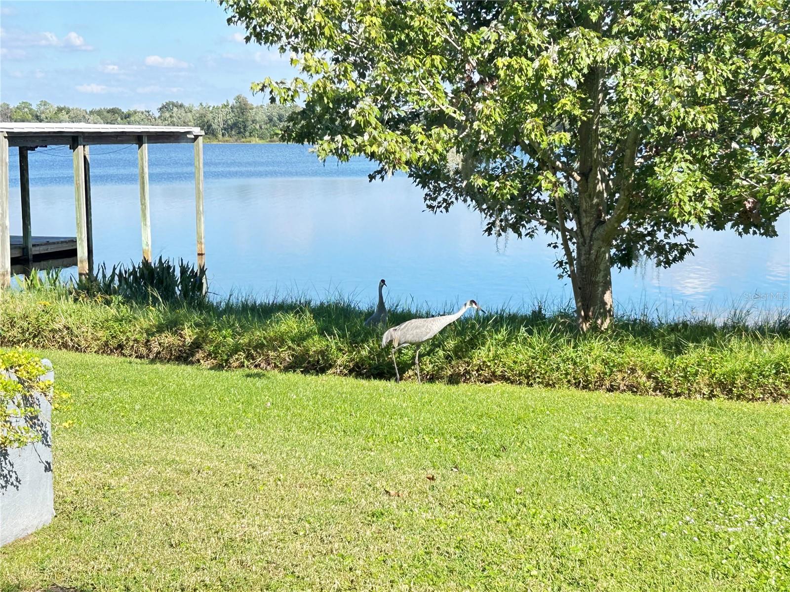 Image 29 of 44 For 1220 Tangerine Parkway Ne