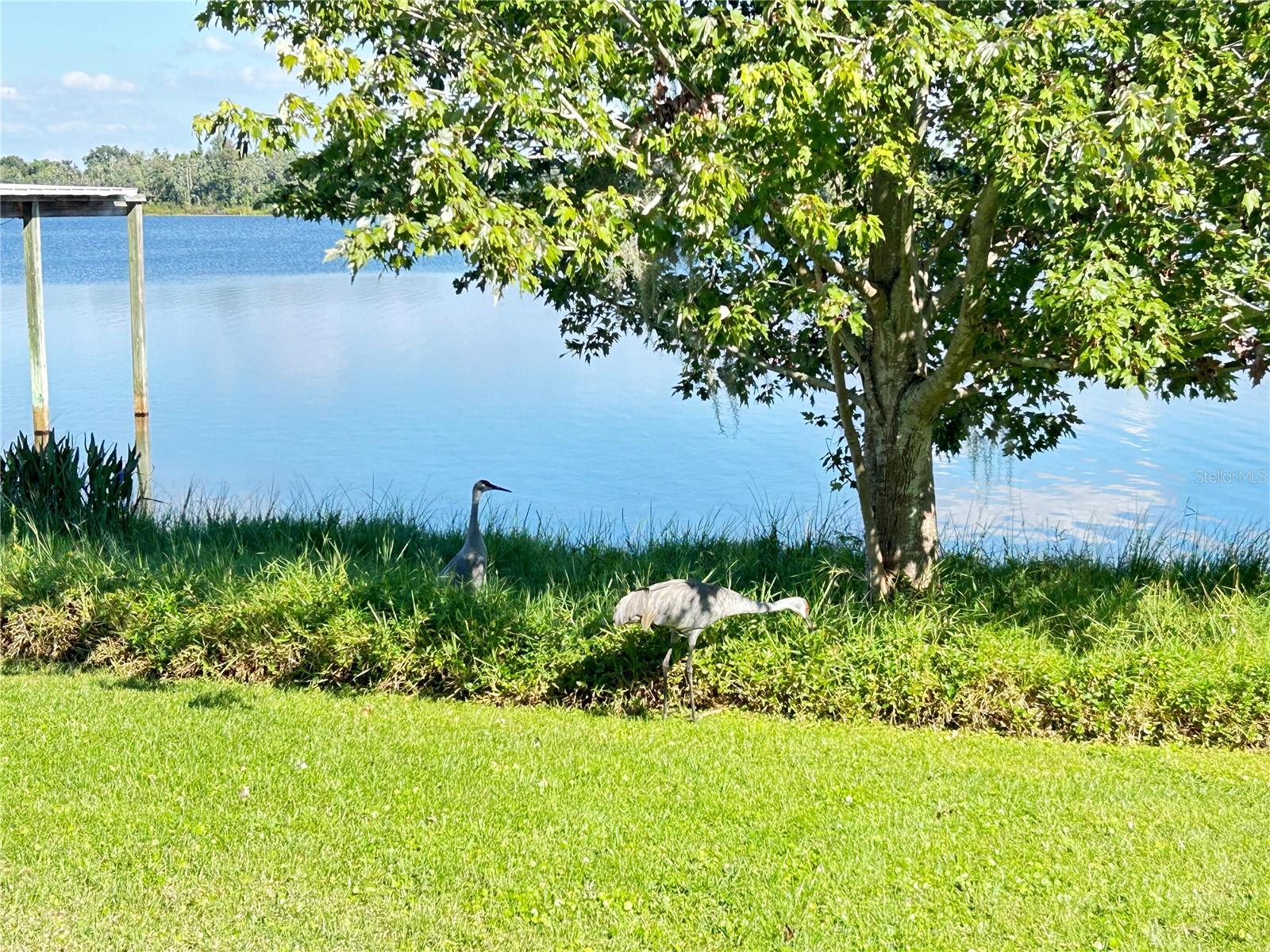 Image 30 of 44 For 1220 Tangerine Parkway Ne