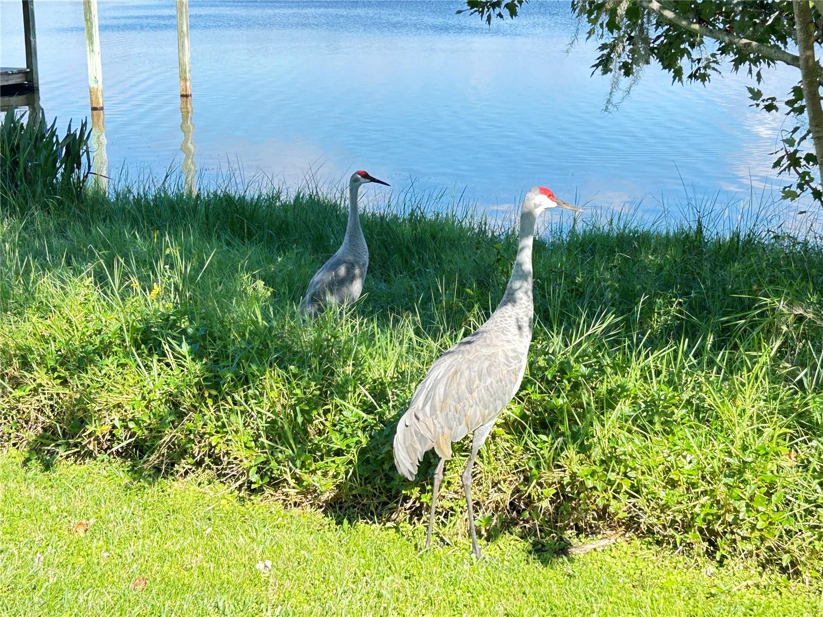 Image 33 of 44 For 1220 Tangerine Parkway Ne