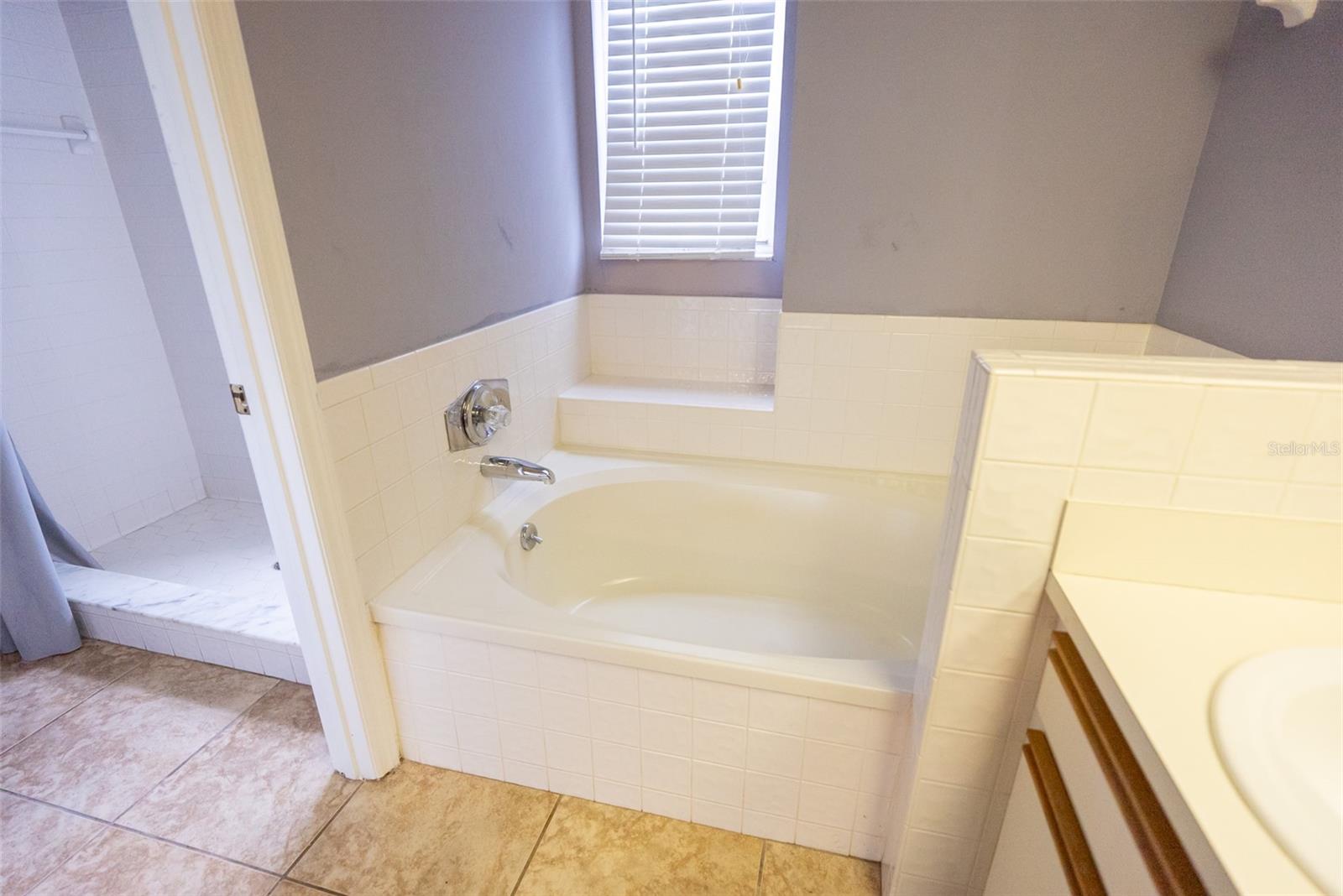 Image 32 of 45 For 94 Saint Kitts Circle