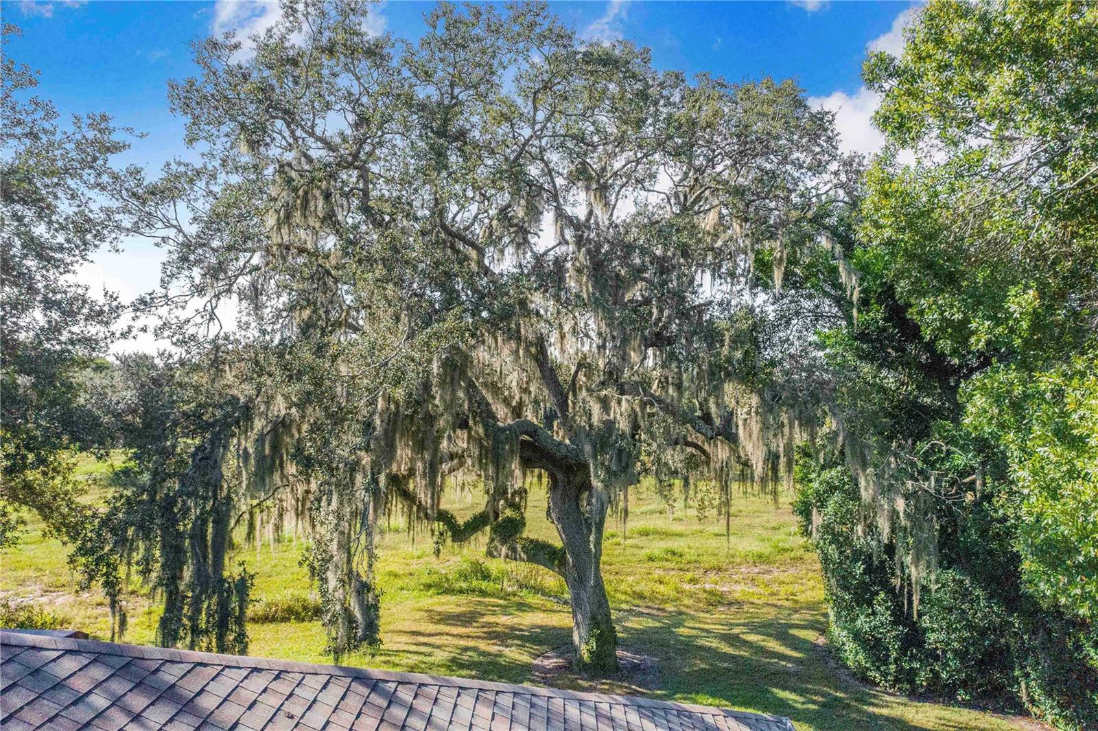 Image 34 of 39 For 20 Coventry Drive