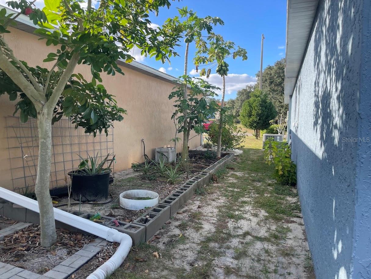 Image 23 of 29 For 4258 Orchid Boulevard