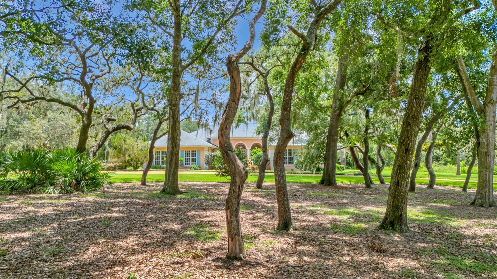 Listing photo id 9 for 116 Mountain Lake