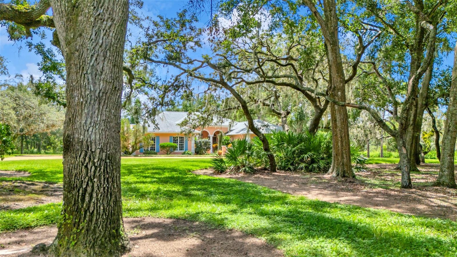 Listing photo id 11 for 116 Mountain Lake